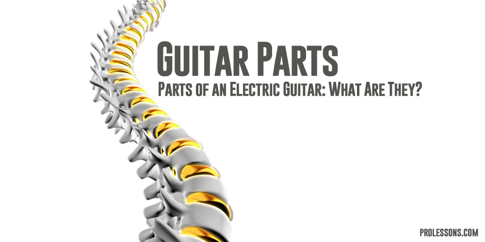 Parts of an Electric Guitar: What Are They?